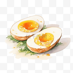 法式软煮鸡蛋在壳水彩