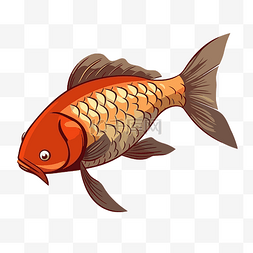 金色的鲤鱼图片_鲤鱼剪贴画红色和金色的鱼显示在