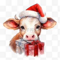 圣诞节可爱的牛，带有水彩插图
