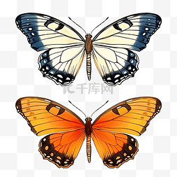 蓝色蝴蝶水彩图片_画两只蝴蝶昆虫集合