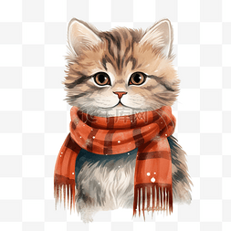 戴着冬季围巾的可爱猫咪