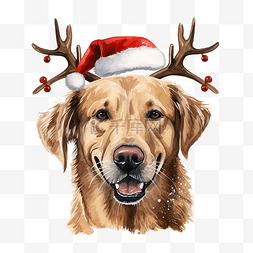 驯鹿鹿角图片_金色猎犬与红色驯鹿鹿角圣诞节拉