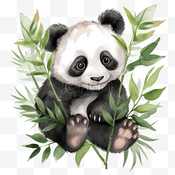 水彩的竹子图片_水彩画熊猫卡通png