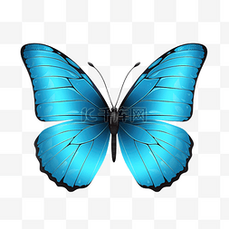 蓝色蝴蝶可爱