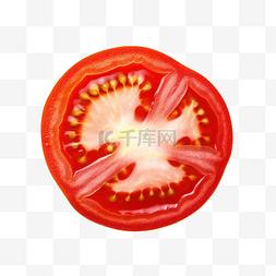 植物番茄图片_番茄果实切片