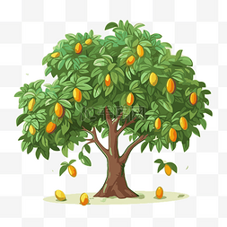 芒果樹 向量