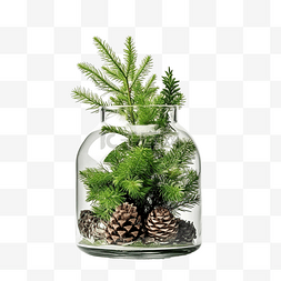 花瓶中的替代圣诞树，带有天然冷