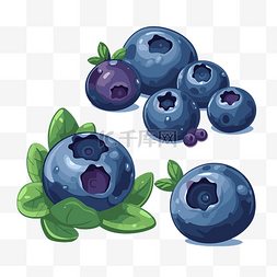 蓝莓剪贴画卡通蓝莓套装，叶子隔