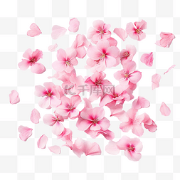 流花瓣图片_粉红色的樱花花瓣