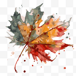秋天的叶子图片_水彩秋天的叶子 向量