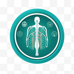 呼吸系统系统图片_器官系统符号