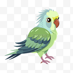长尾小鹦鹉剪贴画可爱的绿色和蓝