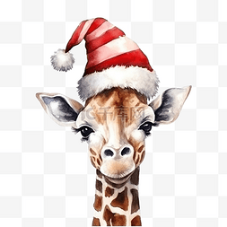 冬天搞笑卡通图片_圣诞配饰中的长颈鹿手绘肖像