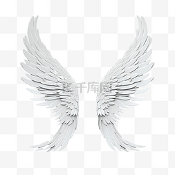 飛機图片_天使的翅膀孤立 3d 渲染