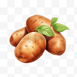 马铃薯蔬菜数字插图