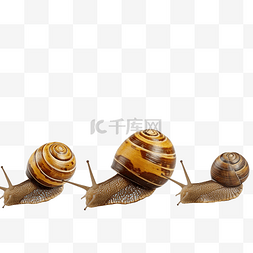 可爱的蜗牛昆虫家族