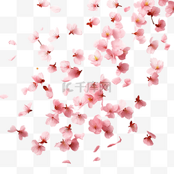 粉色桃花瓣背景图片_飞舞的樱花花瓣