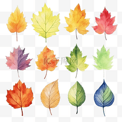 水彩剪贴画许多彩色的叶子