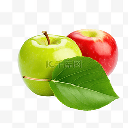 苹果果实与绿叶