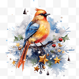雪花PNG图图片_艺术多彩的圣诞节插画与美丽的鸟