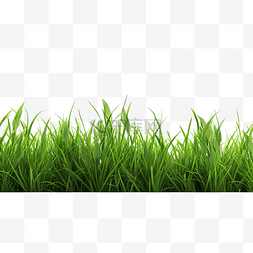 夏天的绿图片_新鲜的绿草侧视图生成ai生成