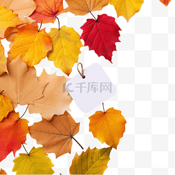 彩色落叶上的空白标签秋季销售和