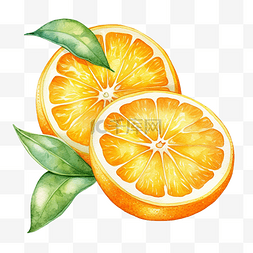 西柚和柠檬图片_橘子和柠檬楔水彩插图
