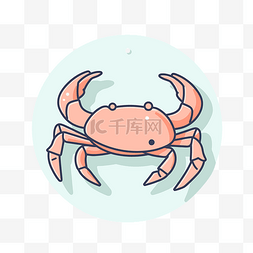 白色背景中粉红色圆圈中的螃蟹 