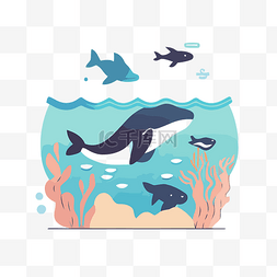平面卡通逆戟鲸和海洋中的海珊瑚