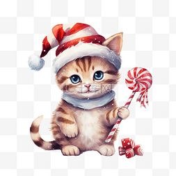 圣诞节那天，可爱的猫角色戴着帽