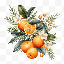 新年邀请卡图片_圣诞水彩橙子和冬季植物卡