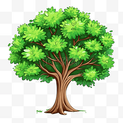 一棵绿叶树的卡通插图