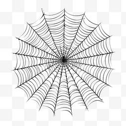 万条垂下绿丝绦图片_蜘蛛网万圣节蜘蛛网关闭线性手绘