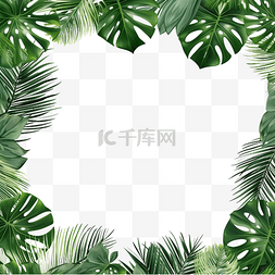 林兰花图片_绿色植物热带棕榈叶框架