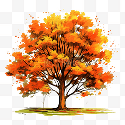 秋天的落树叶图片_秋天的樹圖