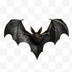 黑色血液图片_黑色万圣节飞行蝙蝠