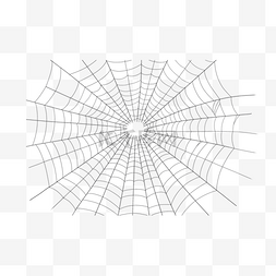 蜘蛛网横图真实蛛网