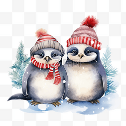 带雪的帽子图片_圣诞快乐庆祝浣熊企鹅和僧海豹带