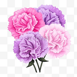 紫色涂鸦背景图片_扁平风格美丽的康乃馨花，粉红色