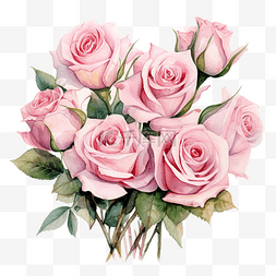 抽象玫瑰背景图片_一束粉红玫瑰水彩