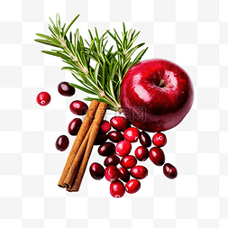 飲水图片_圣诞蔓越莓和苹果热酒装饰迷迭香