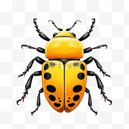 无bug图片_角甲虫昆虫和 bug 插图