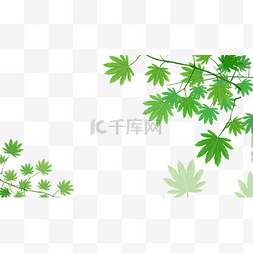 水彩叶子植物边框横图浅绿色叶子
