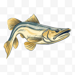 条纹尾巴图片_条纹鲈鱼的斯努克剪贴画卡通插图