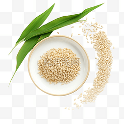 萨尔树叶盘上的小麦粒