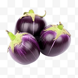 新鲜的蔬菜水果图片_新鲜的泰国紫色圆茄子分离