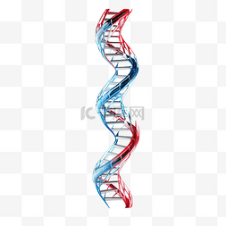 染色体和细胞图片_3d 风格的蓝色和红色 DNA 结构元素