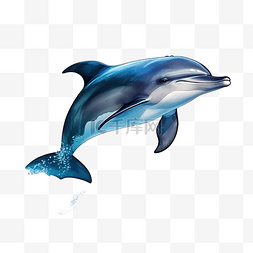 海底可爱图片_鲸鱼海豚鱼游泳水下海装饰