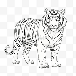 老虎单线艺术线条动物