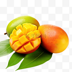 新鲜芒果热带水果与绿叶